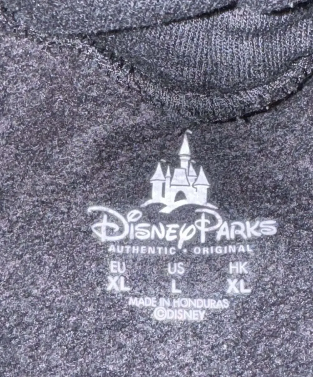 Disney authentic parks